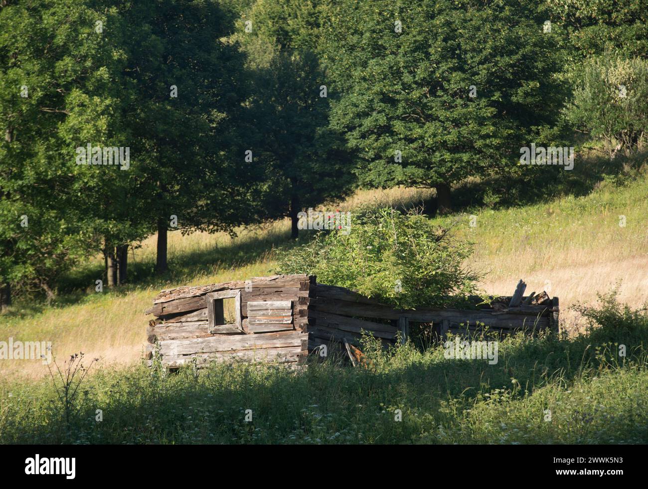 Radocyna, villaggio abbandonato, regione di Lemko, Polonia orientale Foto Stock