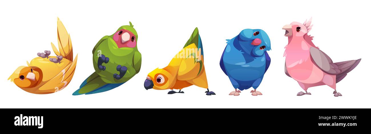 Personaggi pappagalli con becco, ala e storie con piume multicolore in piedi e in posa. Set vettoriale cartoni animati di specie di uccelli esotici simpatici, divertenti e variopinti. Animali tropicali e animali domestici. Illustrazione Vettoriale