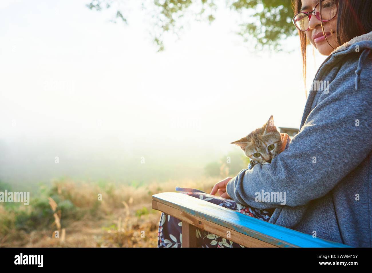 Vista laterale della donna asiatica seduta sulla panchina con il gattino durante la mattina nebbiosa nella foresta Foto Stock