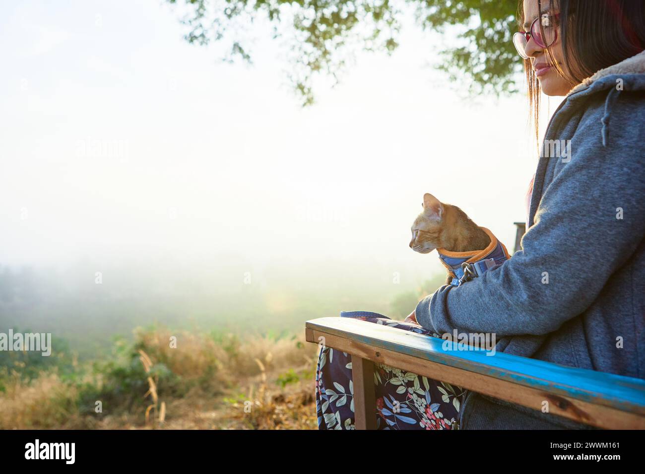 Vista laterale della donna asiatica seduta sulla panchina con il gattino durante la mattina nebbiosa nella foresta Foto Stock