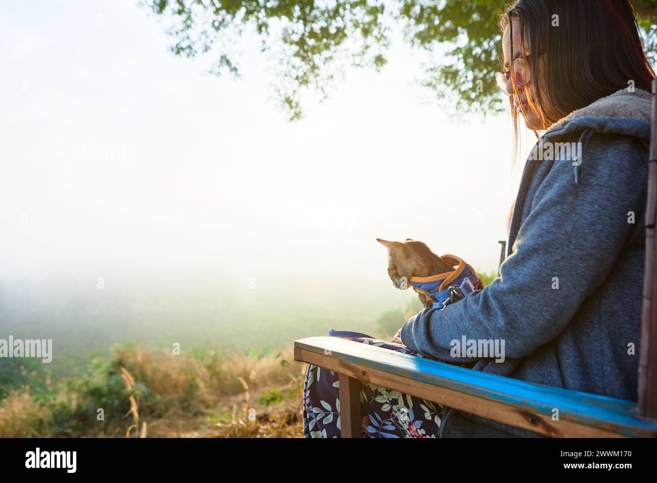 Vista laterale della donna asiatica seduta sulla panchina con il gattino durante la mattina nebbiosa nella foresta Foto Stock