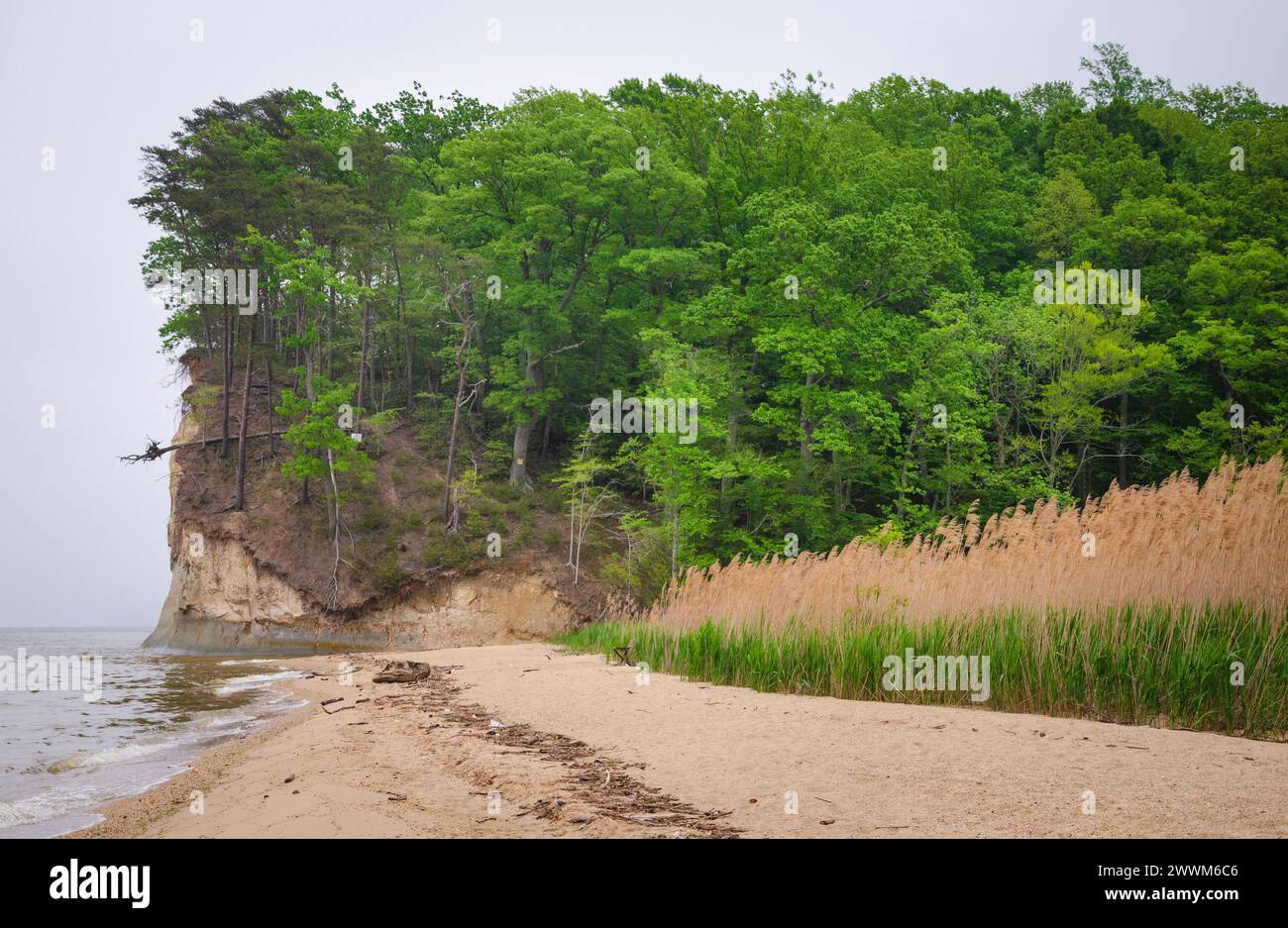 Westmoreland State Park nella contea di Westmoreland, Virginia, Stati Uniti Foto Stock