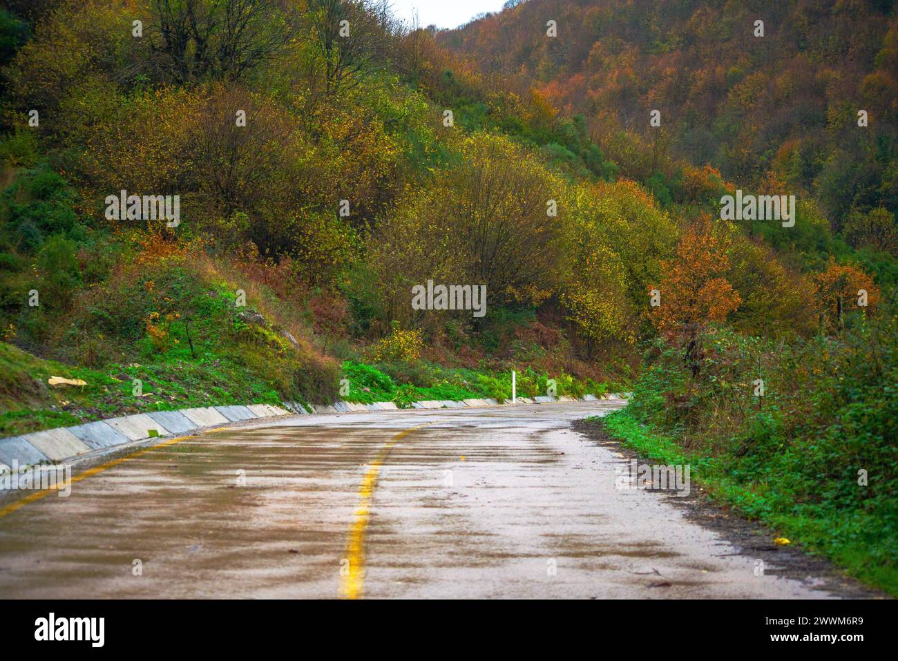 Esplora l'affascinante bellezza di una strada asfaltata bagnata che si fonde perfettamente con la natura. Superfici baciate dalla pioggia, paesaggi lussureggianti e un viaggio attraverso il Foto Stock