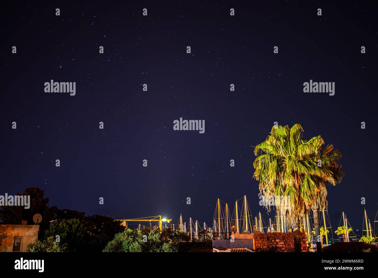 Crogiolati nella magia celeste di una baia circondata da palme sotto un cielo stellato. La tranquilla fusione di fascino cosmico e serenità costiera crea un sogno Foto Stock