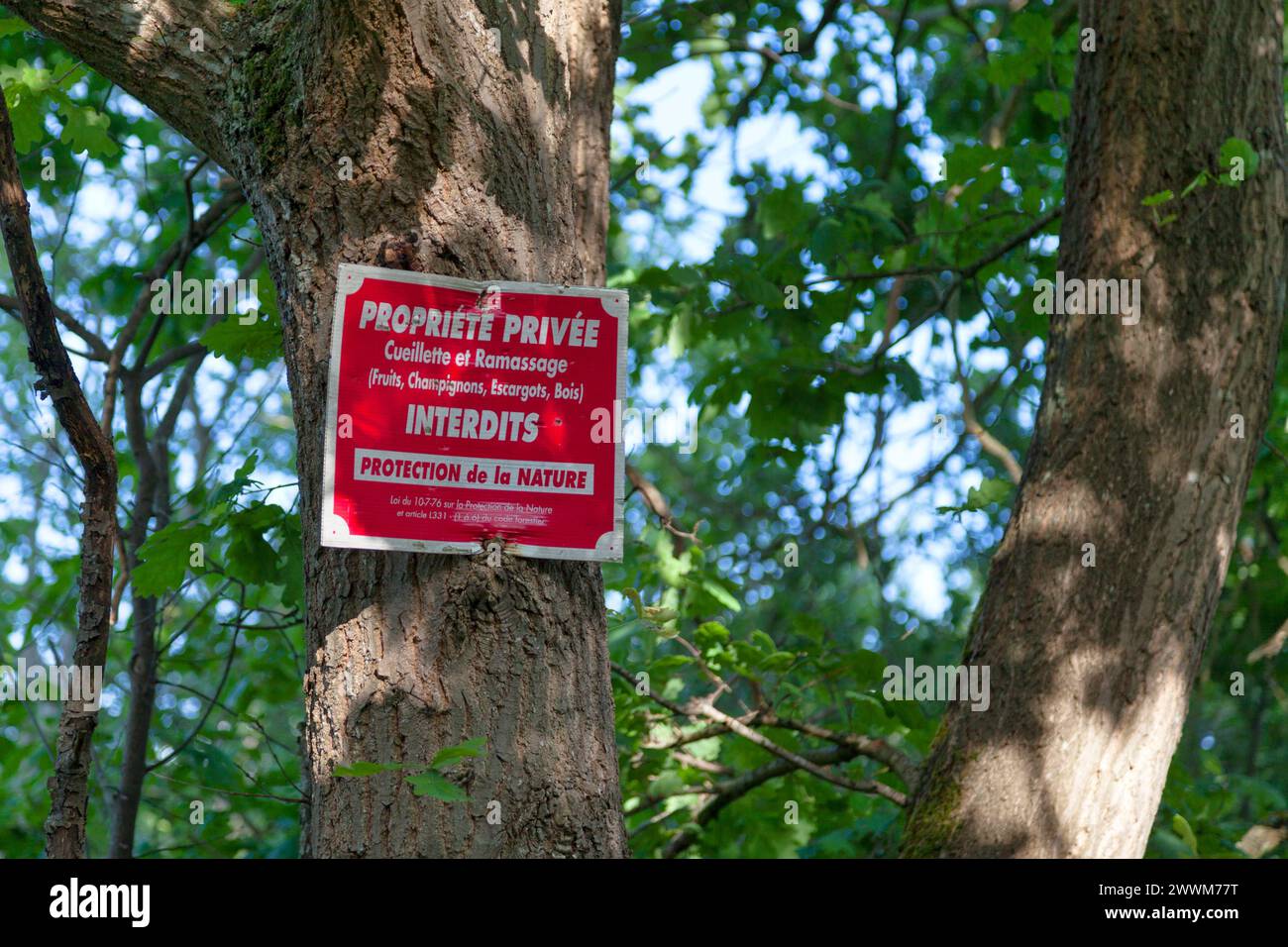 Un cartello con scritto in francese "Propriété privée - Cueillette et ramassage (frutta, champignons, escargots, bois) interdits - protezione Foto Stock