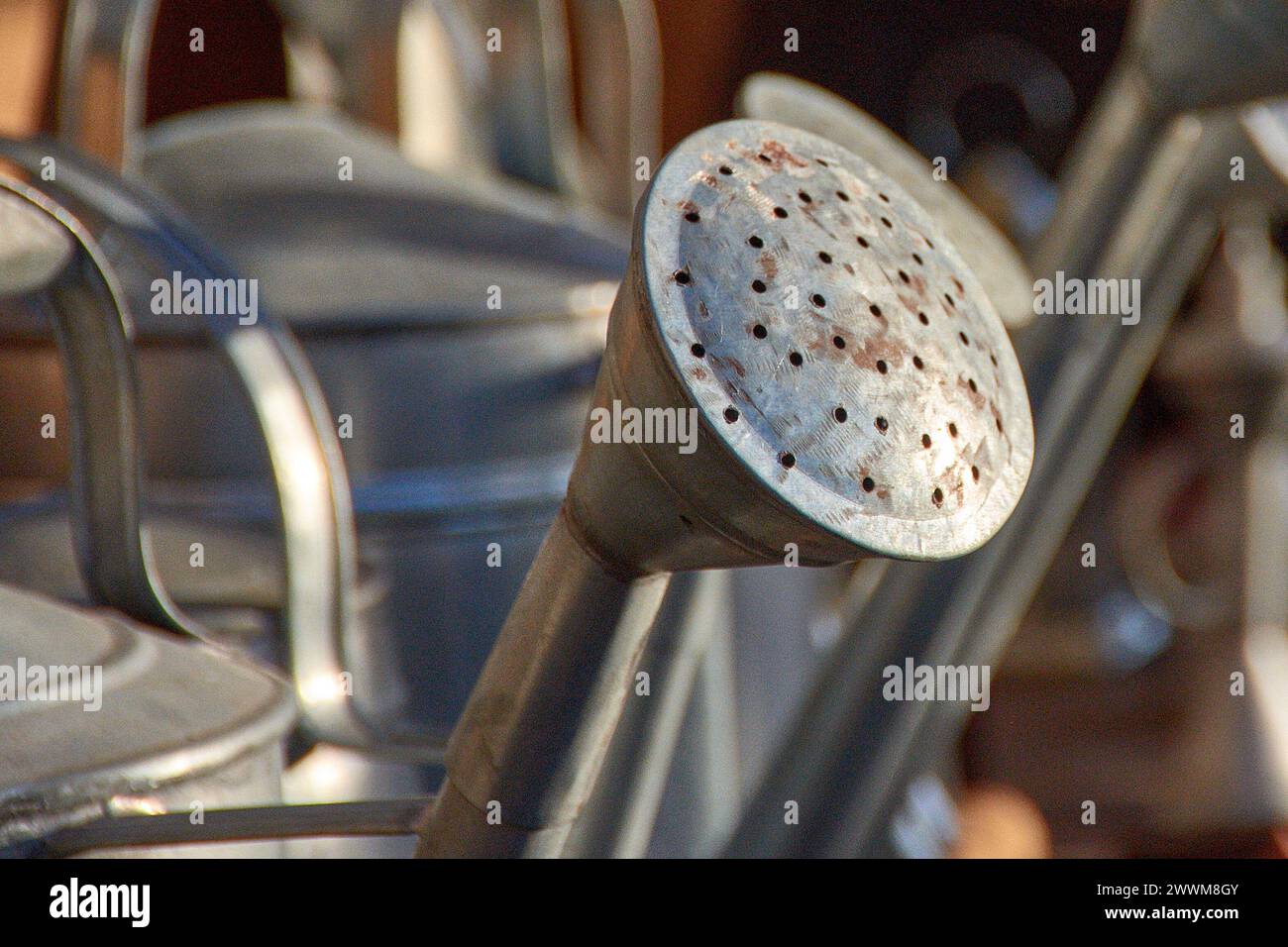 Primo piano del beccuccio di una vecchia bomboletta di metallo con lo sfondo fuori fuoco Foto Stock