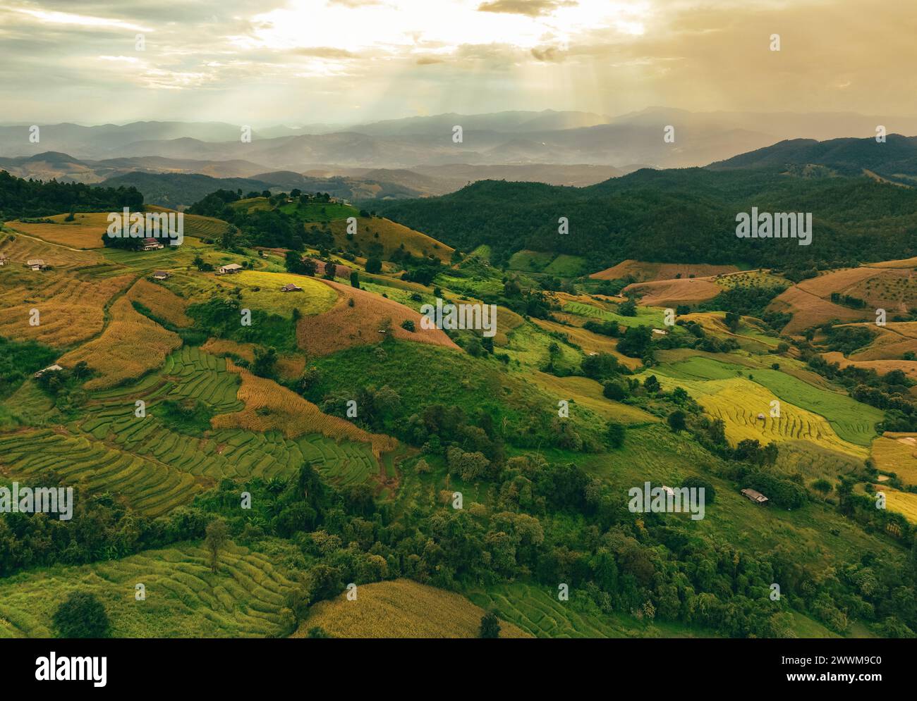 Paesaggio di verdi montagne con risaie terrazzate e lussureggianti piantagioni. Ambiente sereno. Riso biologico nella valle. Viaggi eco-turistici. Foto Stock