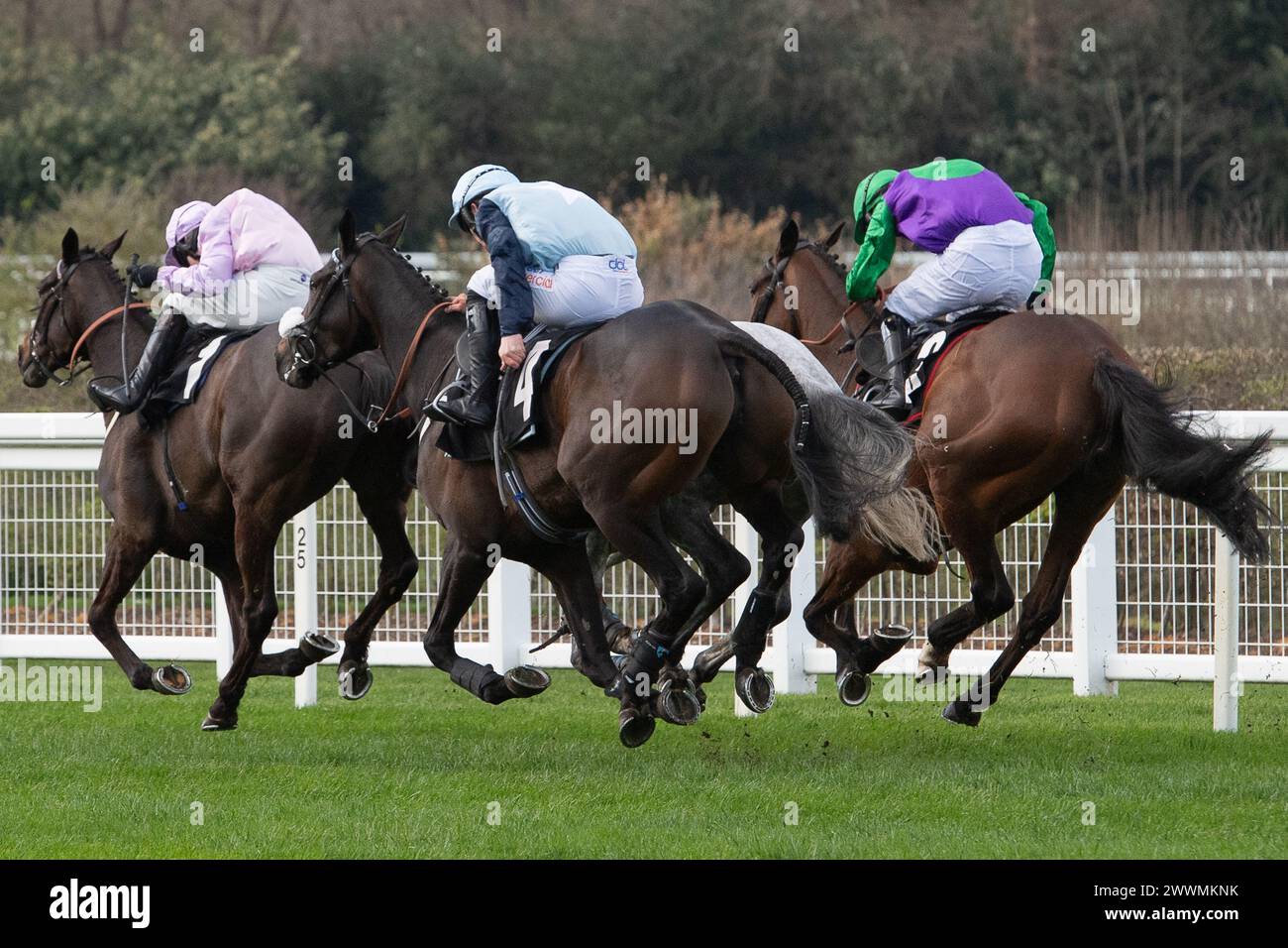 Ascot, Regno Unito. 24 marzo 2024. Horse King's Threshold cavalcato dal fantino Tom Bellamy (sete verde e viola) vince l'Ascot Racecourse Supports Achieving for Children handicap Steeple Chase presso il Spring Family Raceday presso l'Ascot Racecourse. Proprietario della navigazione a Bisanzio, allenatore Emma Lavelle, Marlborough, allevatore William Jenks, Sponsor Hatherden Horse Transport. Crediti: Maureen McLean/Alamy Live News Foto Stock