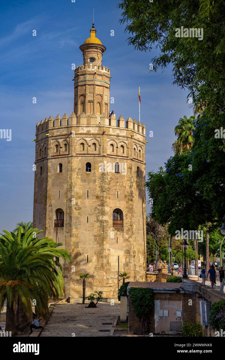 Torre del Oro, un monumento emblematico vicino al fiume Guadalquivir (Siviglia, Andalusia, Spagna). Es: La Torre del Oro, monumento de Sevilla Foto Stock