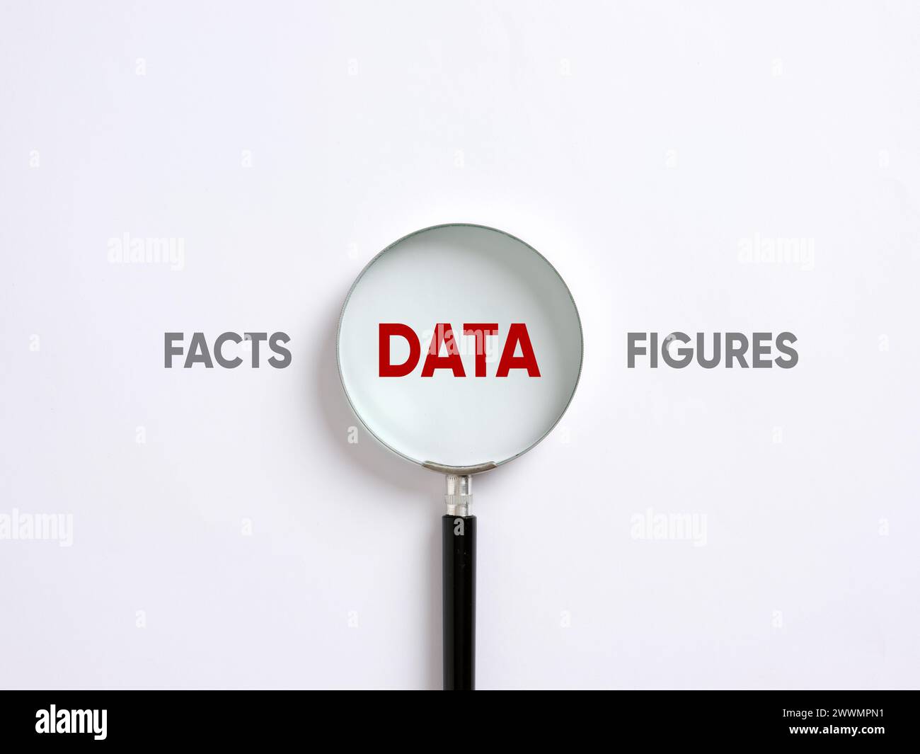 Fatti, dati, cifre e analisi. Visualizzazione dei dati. concetto di ricerca e statistica. Foto Stock