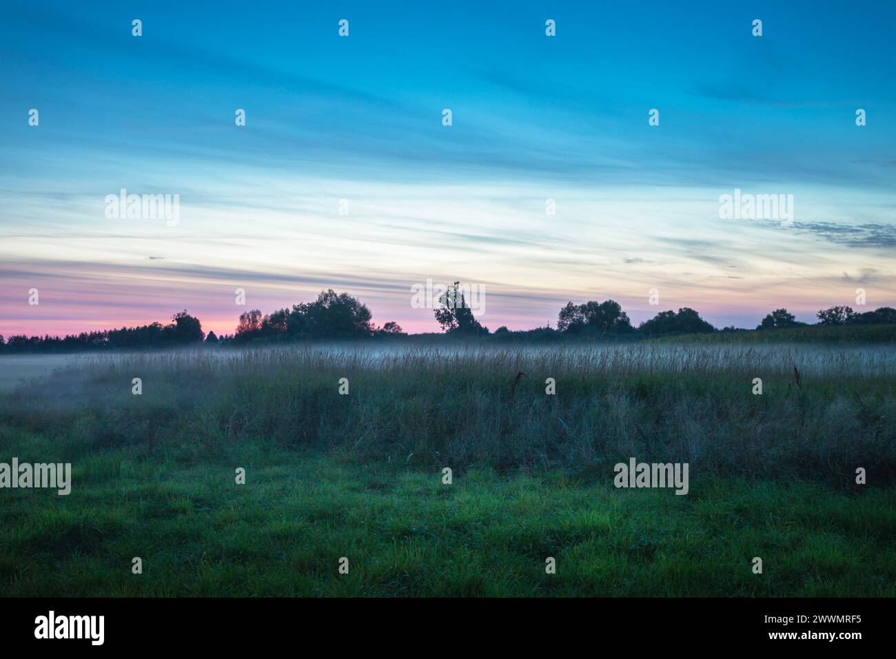 Cielo serale su un prato selvaggio nebbioso, Zarzecze, Polonia Foto Stock