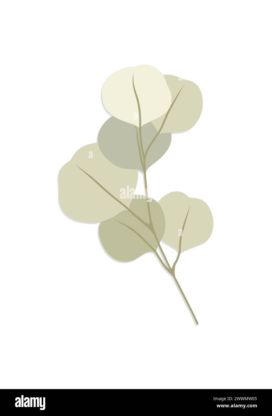 Eucalipto, illustrazione floreale. Ramo di foglie verdi, verde del dollaro d'argento, foglie naturali elementi tropicali per inviti di nozze, cancelleria, saluto Illustrazione Vettoriale