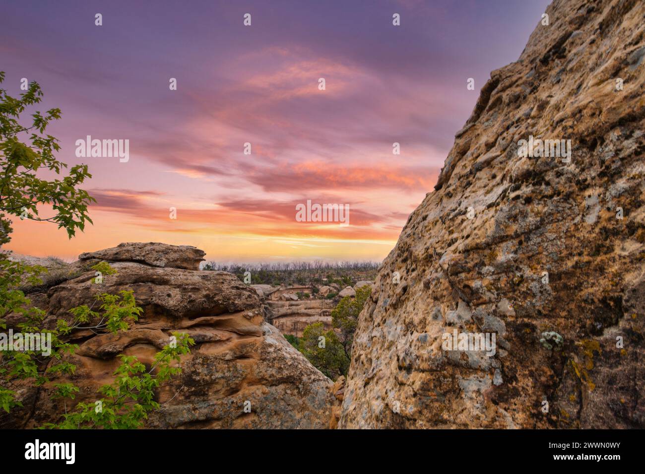 le affascinanti sfumature del cielo del tramonto, che diffondono una luce calda sulle superfici rocciose in primo piano e sugli alberi sagomati Foto Stock