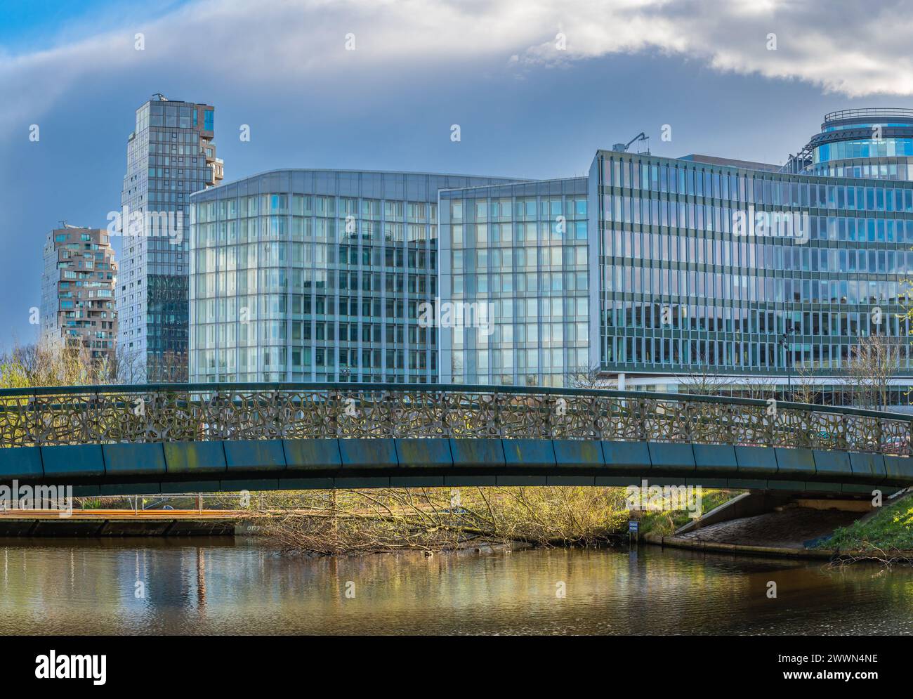 Skyline di Amsterdam Zuidas visto dal Beatrixpark Foto Stock