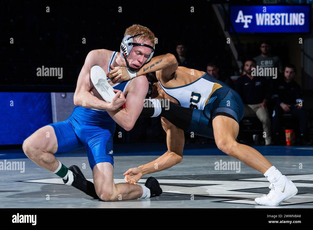 U.S. AIR FORCE ACADEMY, COLON. -- Garrett Kuchan dell'Air Force Academy spara per una singola gamba durante un match di wrestling contro la California Baptist University, sabato 3 febbraio 2024, durante un incontro alla Clune Arena della United States Air Force Academy a Colorado Springs, Colosso. Il Falcon e' perso contro California Baptist 21-15. Foto Air Force/Rayna Grace) Foto Stock