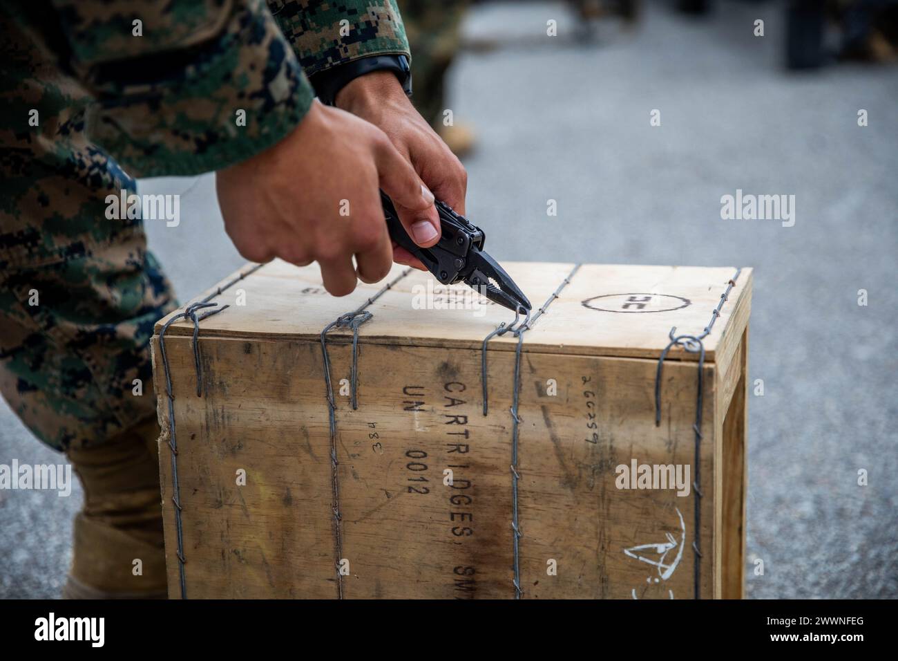 Un Marine degli Stati Uniti con Combat Logistics Battalion 4, Combat Logistics Regiment 3, 3rd Marine Logistics Group, taglia una cassa di munizioni durante una gamma di tavoli da tre a sei a Camp Hansen, Okinawa, Giappone, 7 febbraio 2024. Il raggio faceva parte di un'esercitazione sul campo di battaglione che provava operazioni logistiche cruciali eseguite all'interno di una Alert Contingency Air-Ground Task Force, mirata a migliorare le capacità e la prontezza del CLB-4. Corpo dei Marine Foto Stock