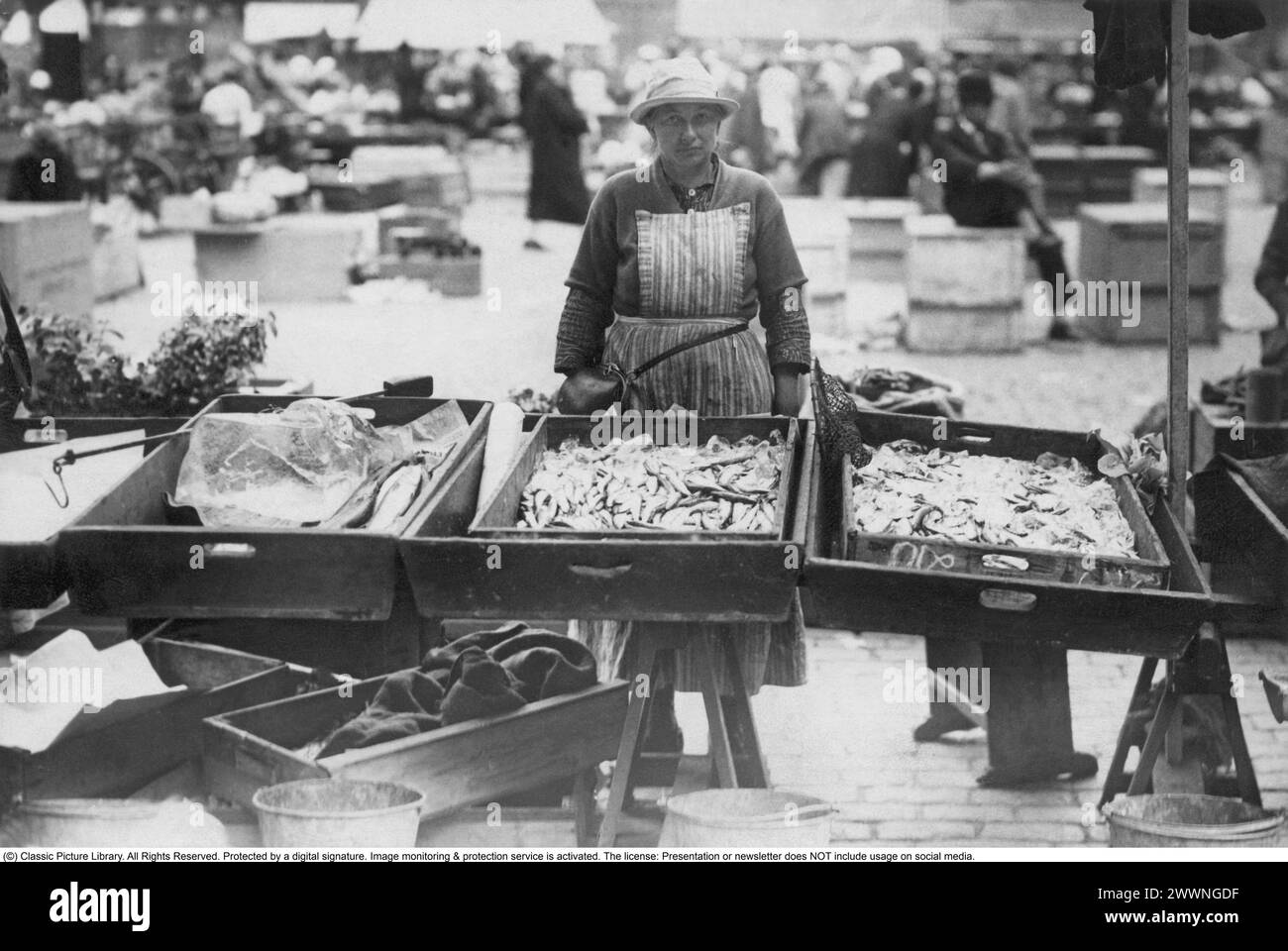 Piazza del mercato 1930. Hötorget nel centro di Stoccolma con una donna in una bancarella con pesce fresco che vende in scatole di fronte a lei. Foto Stock