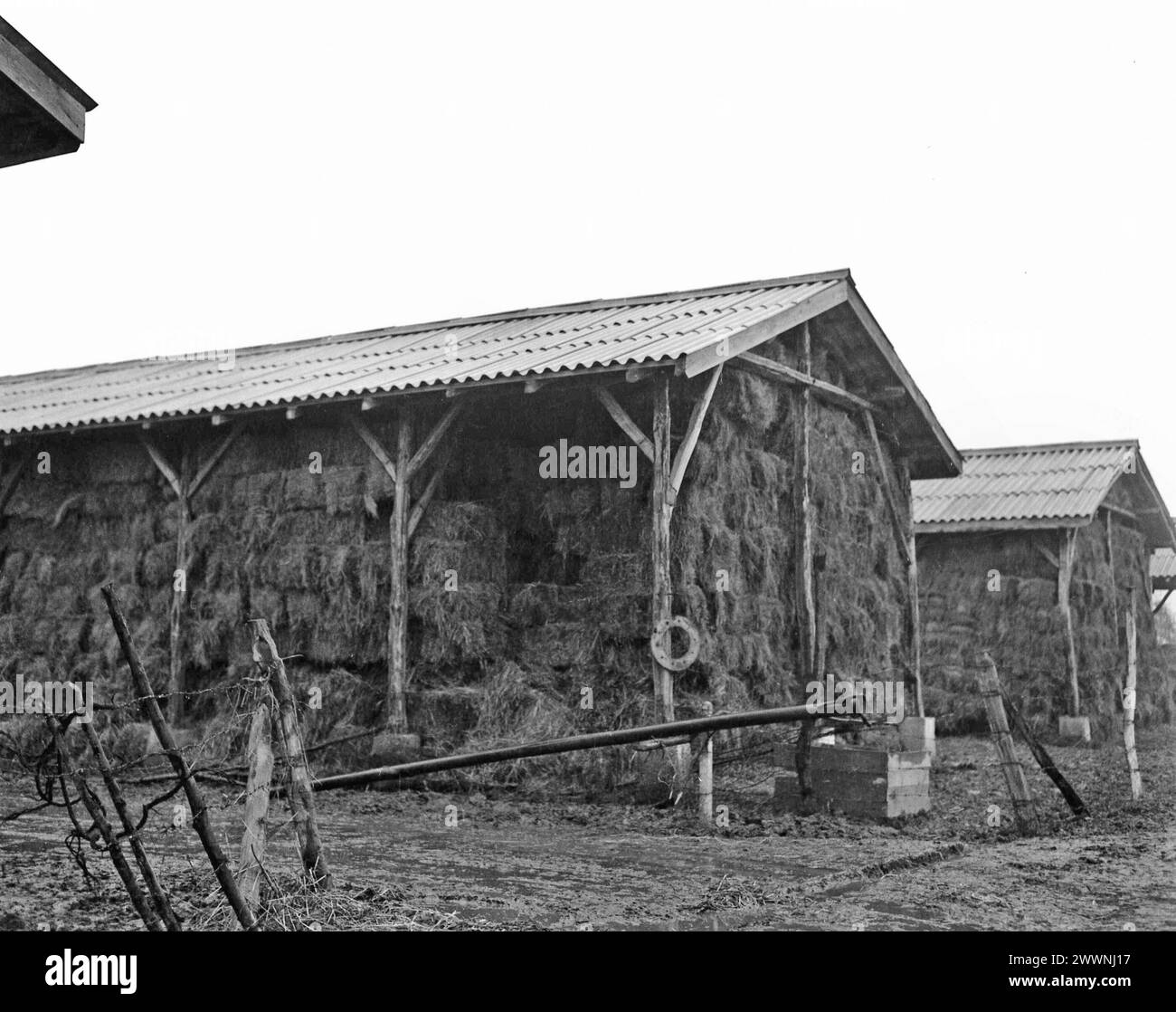 Cooperativa agricola statale nella Romania comunista, negli anni '1970 Capannoni grandi per lo stoccaggio del fieno. Foto Stock