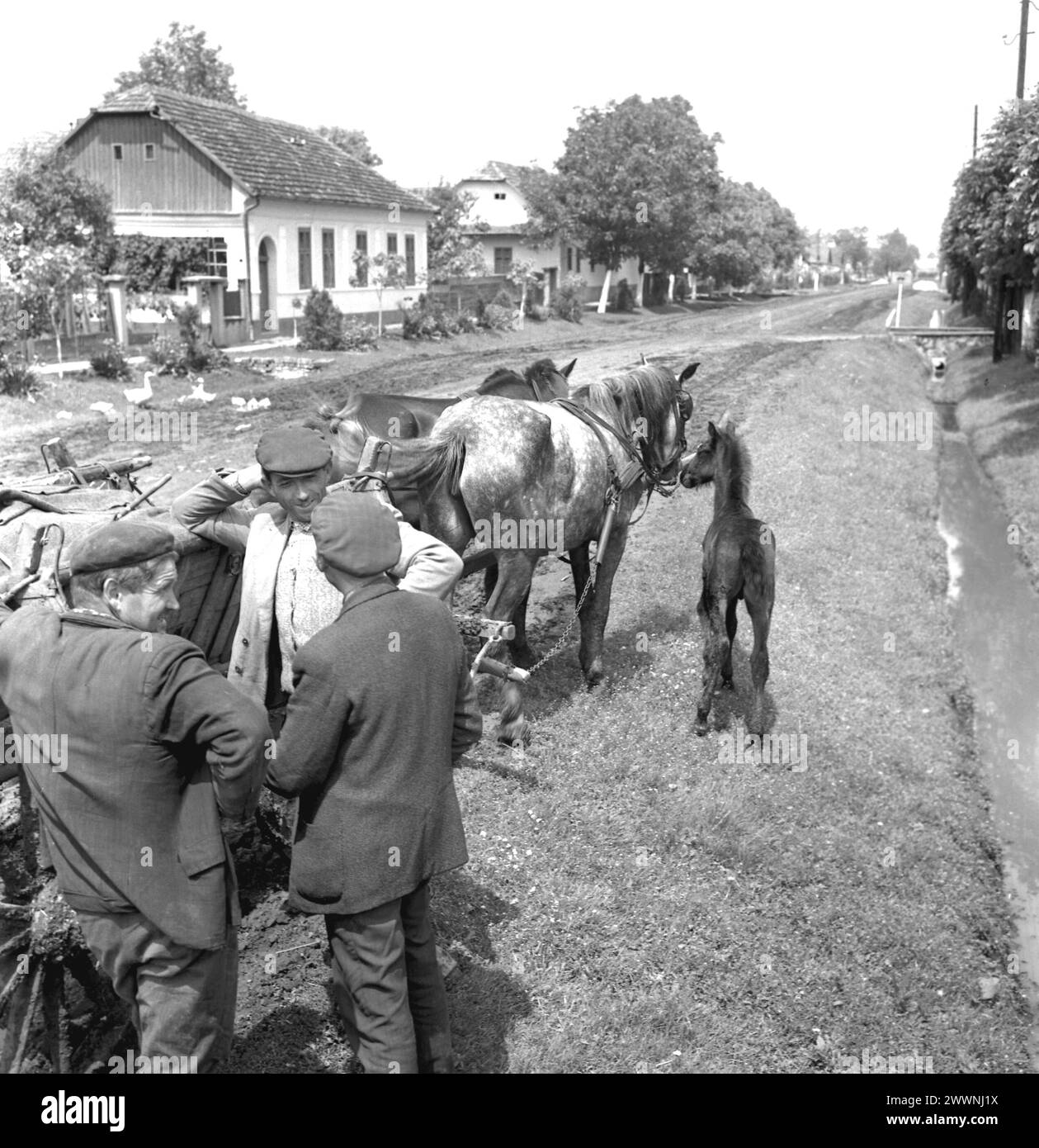 Romania, circa 1976. Uomini con un carro trainato da cavalli che chiacchierano al fianco di un vicolo del villaggio. Foto Stock