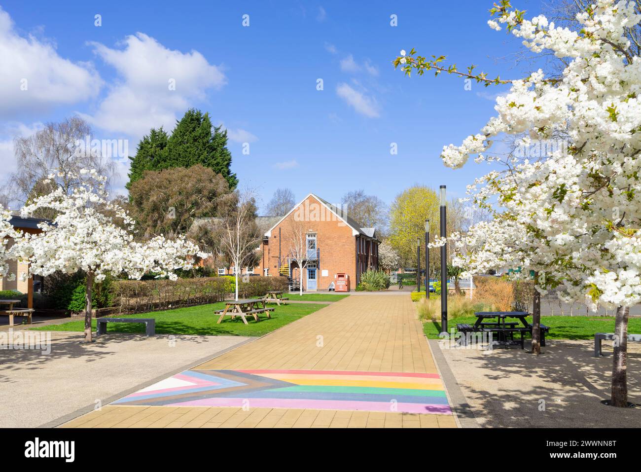 Sutton Bonnington Campus Trees with Blossom University of Nottingham University Sutton Bonnington Leicestershire Inghilterra Regno Unito GB Europa Foto Stock