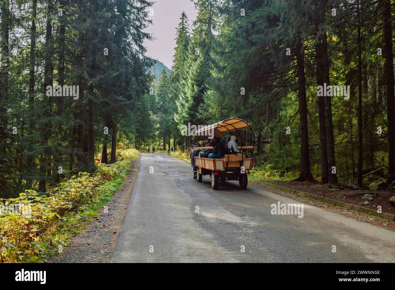 Parco nazionale dei Monti Tatra, Dolina Rybiego Potoku, Wlosienica vicino a Zakopane, giro in carretto a cavalli, trasporto al lago alpino Morskie Oko Foto Stock