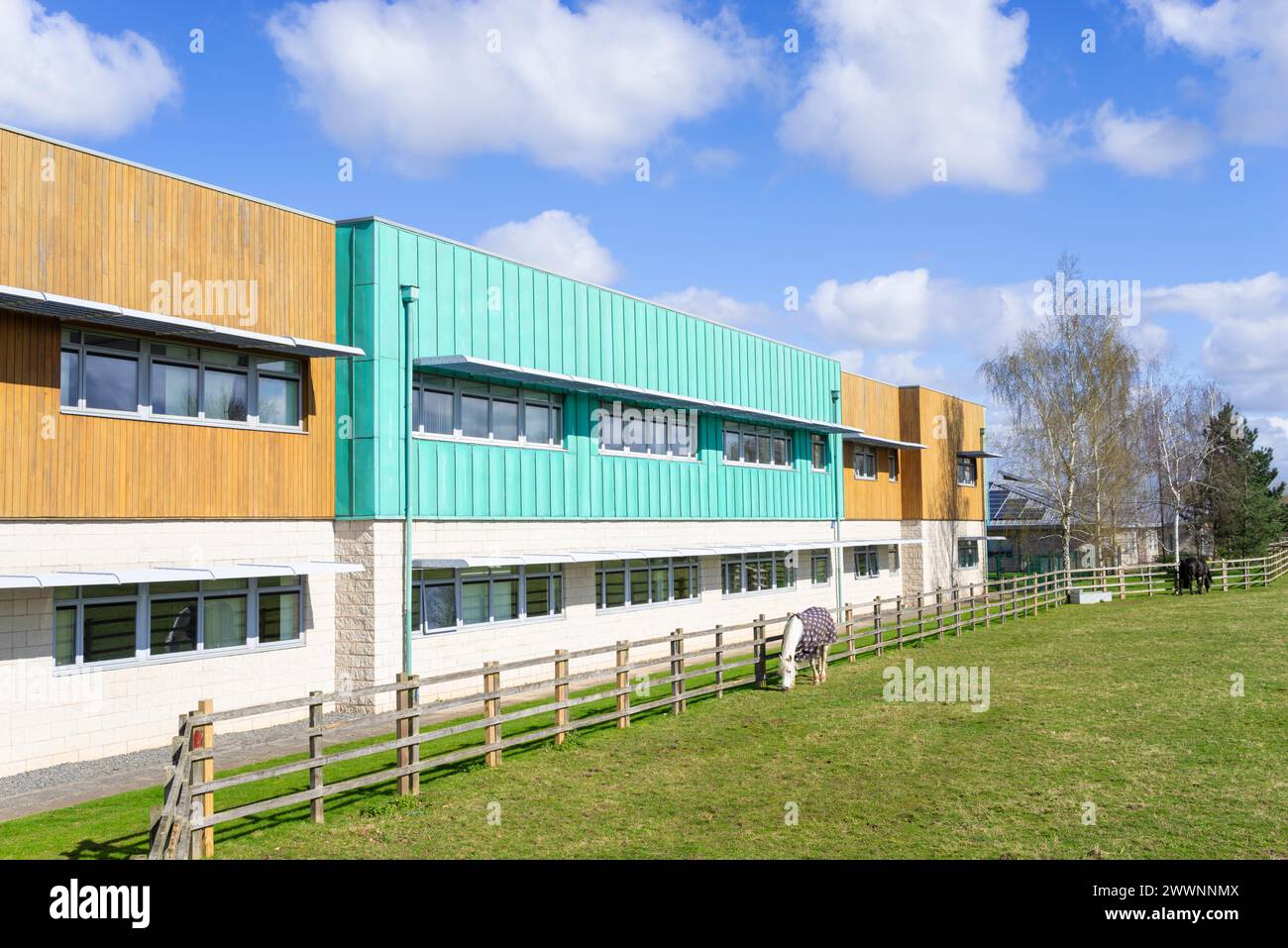 Horses and School of Veterinary Medicine Sutton Bonnington Campus University of Nottingham University Sutton Bonnington Leicestershire Inghilterra Regno Unito GB Foto Stock
