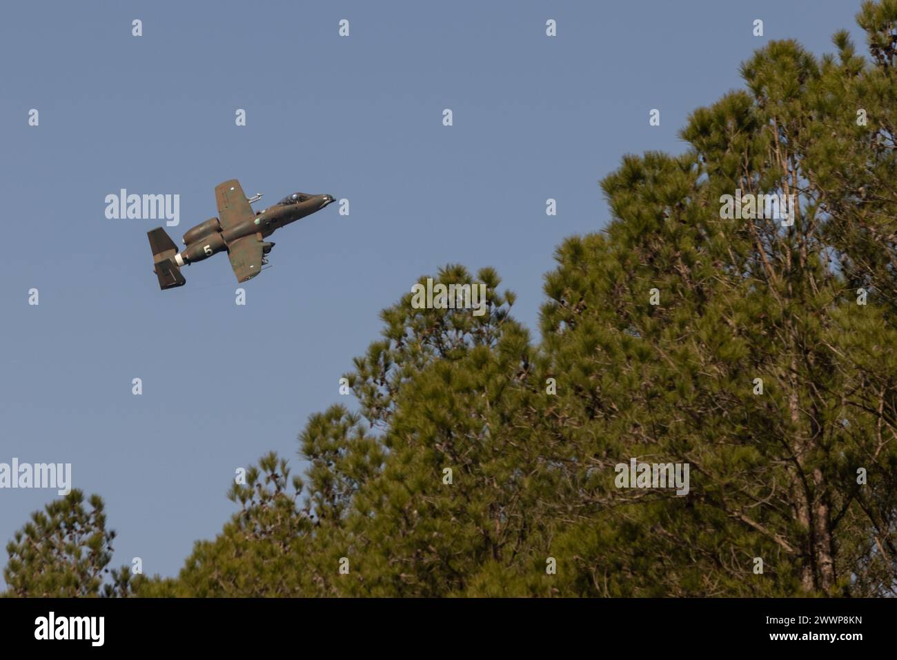 Un A-10C Thunderbolt II della U.S. Air Force con il 74th Attack Squadron, 23rd Fighter Group, 23rd Wing, torna alla base dopo un addestramento congiunto di controllori di attacco terminale con la 6th Battery, 345th Artillery Battalion dell'esercito tedesco, e specialisti del gruppo di controllo aereo tattico della U.S. Air Force con il 15th Air Support Operation Squadron, a supporto della 3rd Infantry Division dell'esercito degli Stati Uniti, a Townsend Bombing Range, Georgia, 22 febbraio 2024. Il controllo aereo tattico congiunto tedesco e gli osservatori antincendio congiunti praticavano il coordinamento degli aerei, infiltrandosi ed esfiltrando un'area di operazioni con le risorse militari americane. Giunto Foto Stock