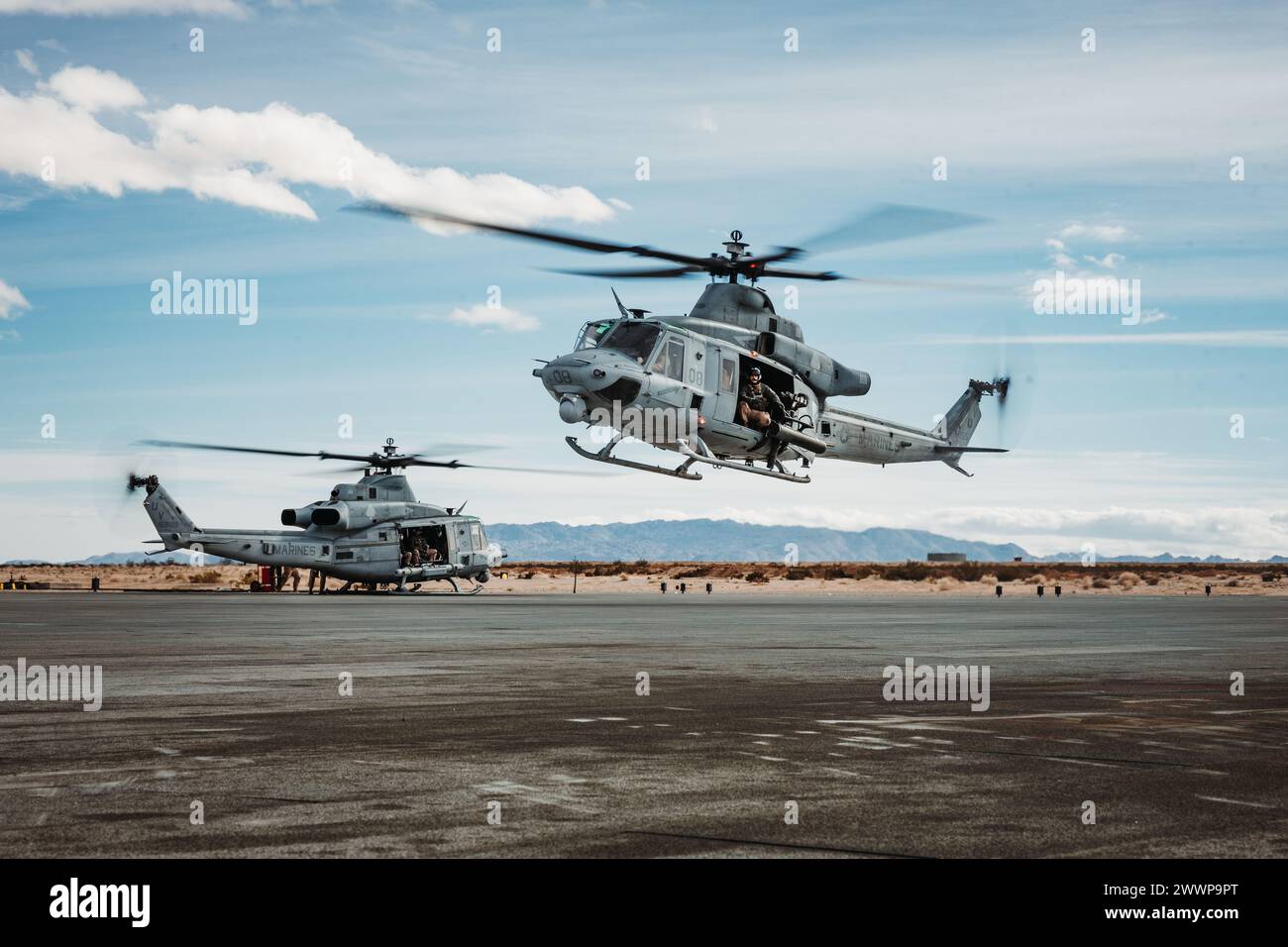 US Marines con Marine Light Attack Helicopter Squadron (HMLA) 267, Marine Aircraft Group 39, 3D Marine Aircraft Wing, atterra un UH-1Y Venom a supporto di un'esercitazione di combattimento della Marine Air-Ground Task Force durante l'esercitazione di addestramento del livello di servizio 2-24 a Camp Wilson, Marine Corps Air-Ground Combat Center, Twentynine Palms, California, 19 febbraio 2024. MWX è l'evento culminante per SLTE 2-24 che migliora le capacità operative e la letalità dei membri dei servizi degli Stati Uniti e degli alleati come MAGTF. Corpo dei Marine Foto Stock