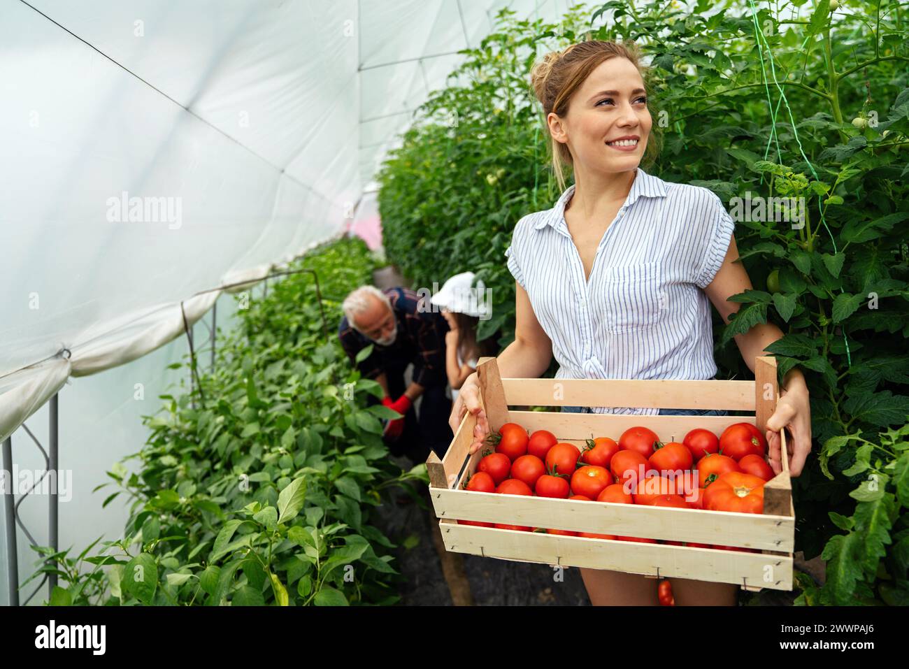 Ritratto di una giovane e felice giardiniera che lavora nell'orto biologico della serra. Foto Stock