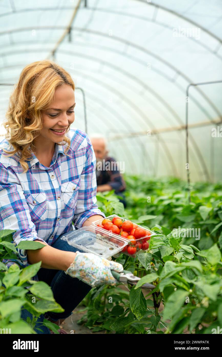 Ritratto di una giovane e felice giardiniera che lavora nell'orto biologico della serra. Foto Stock