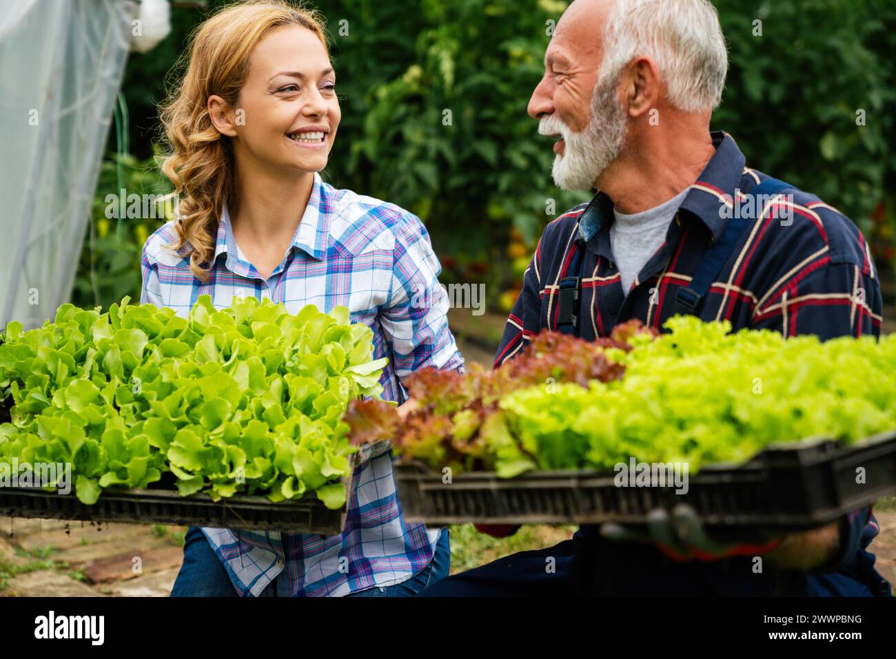 Famiglia felice di coltivatori biologici di verdure da vendere ai negozi locali. Foto Stock
