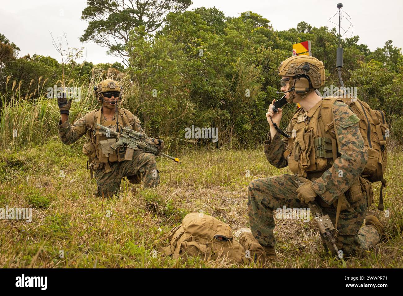 Austin Holloway, Right, e Malcolm Patterson, entrambi i Marines di fanteria con Battalion Landing Team 1/1, 31st Marine Expeditionary Unit, richiedono un'estrazione durante un recupero tattico di aerei e personale esercitati a Camp Hansen, Okinawa, Giappone, 16 febbraio 2024. L'esercitazione DI TRAPPOLA mostrava avanzate capacità di supporto vitale per i traumi e valutava le tattiche di risposta rapida e recupero del plotone di aerei, personale e attrezzature abbattuti in luoghi isolati. Il 31st MEU opera a bordo di navi della USS America Amphibious Ready Group nella zona della 7th Fleet di Foto Stock