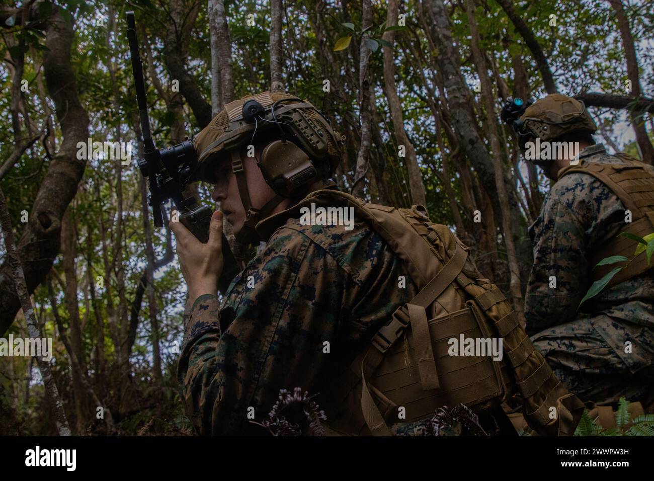 Un Marine degli Stati Uniti con Battalion Landing Team 1/1, 31st Marine Expeditionary Unit, coordina i movimenti tattici durante un'esercitazione meccanizzata di raid a Camp Schwab, Okinawa, Giappone, 5 febbraio 2024. I Marines di BLT 1/1 perfezionarono le loro abilità tattiche attraverso l'uso di coordinarsi con più veicoli e inserirsi da posizioni strategiche critiche. Il 31o MEU, l’unica MEU del corpo dei Marines schierata in avanti in modo continuo, fornisce una forza flessibile e letale pronta a svolgere un’ampia gamma di operazioni militari come principale forza di risposta alle crisi nella regione Indo-Pacifico. Corpo dei Marine Foto Stock