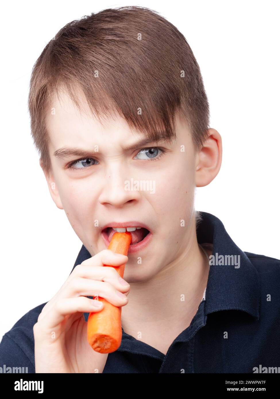 Un ragazzo che indossa una polo blu grimaces mentre morde una carota che mostra una reazione al gusto poco attraente. Ritratto in studio su sfondo bianco Foto Stock