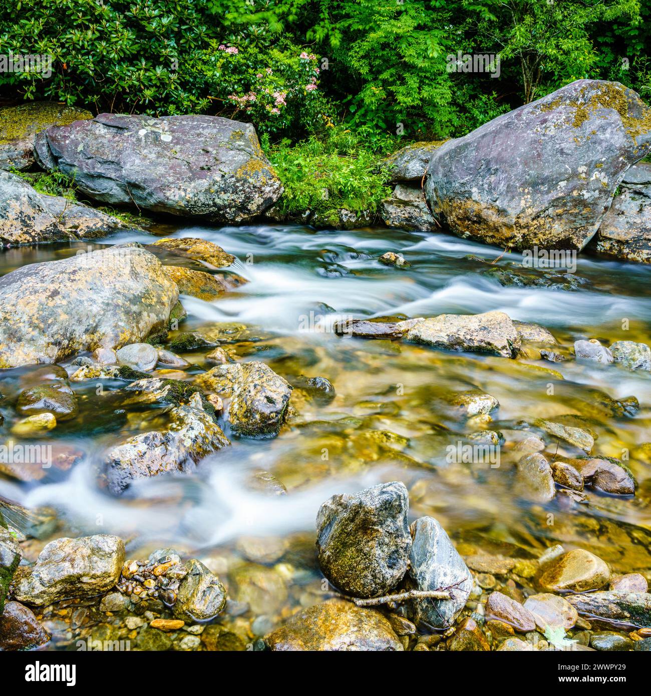 Immagine a lunga esposizione di un piccolo torrente a Maggie Valery, Carolina del Nord Foto Stock