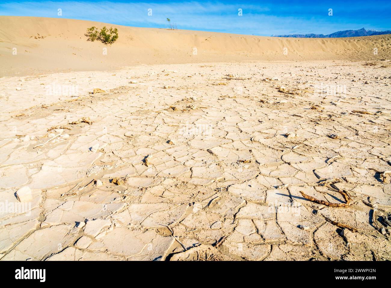 Fondo asciutto di un'area bassa nelle dune sabbiose di Mesquite Flat Foto Stock