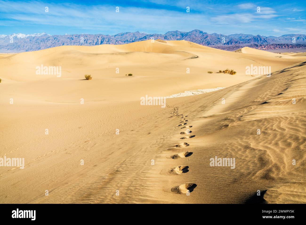Vista panoramica delle dune di sabbia di Mesquite Flat nel Death Valley National Park in California Foto Stock