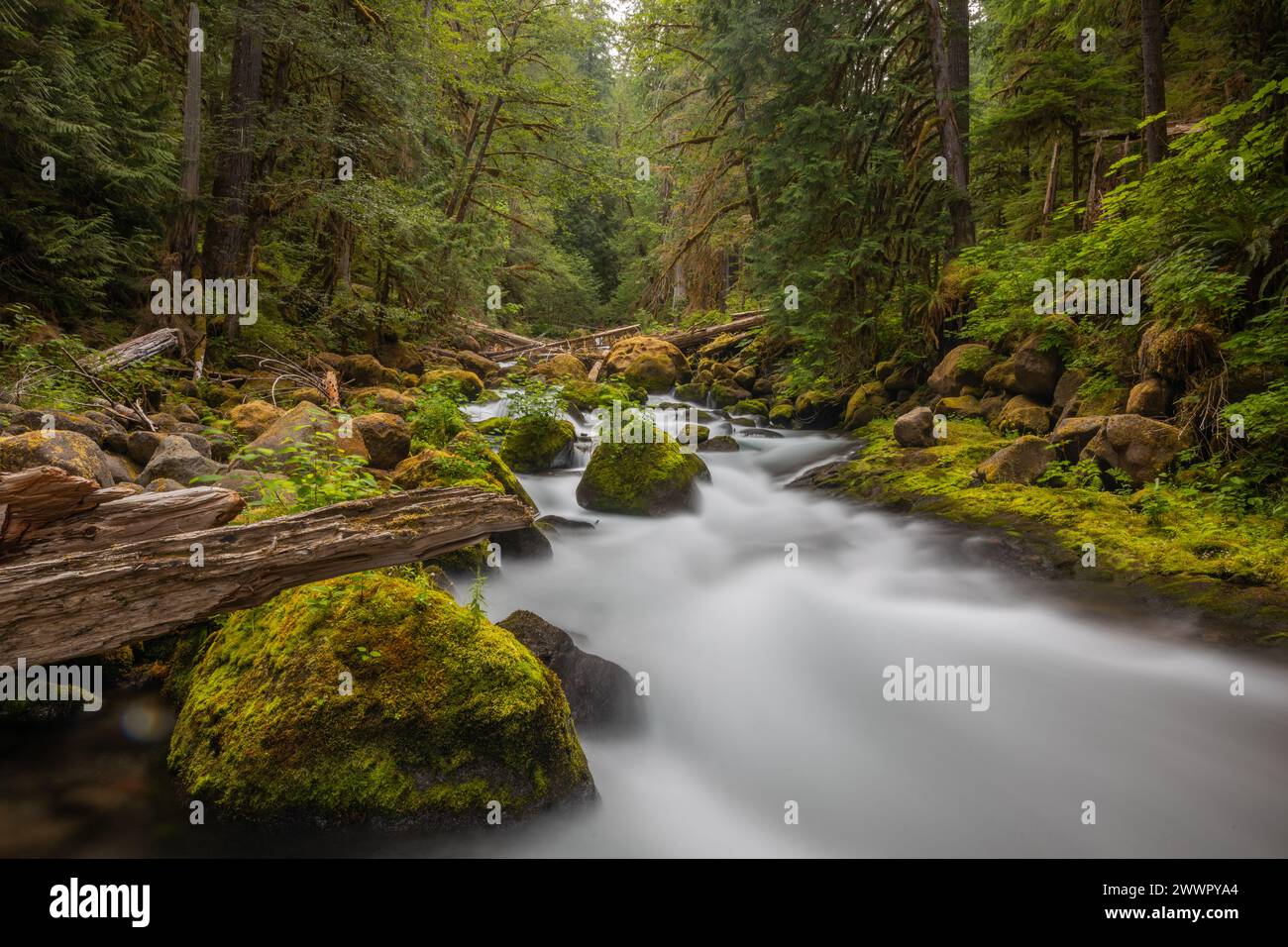 Hidden Creek Foto Stock