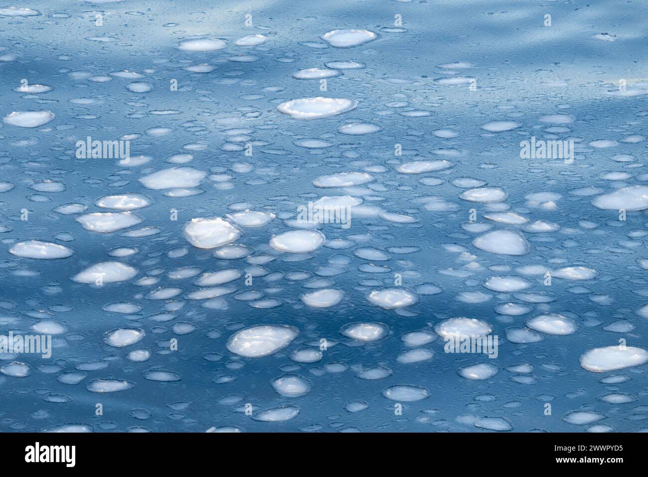 Antartide, Victoria Land, Mare di Ross nella zona della piattaforma di ghiaccio di Ross. Le formazioni di ghiaccio dei pancake sul Mare di Ross mentre inizia a gelare. Foto Stock