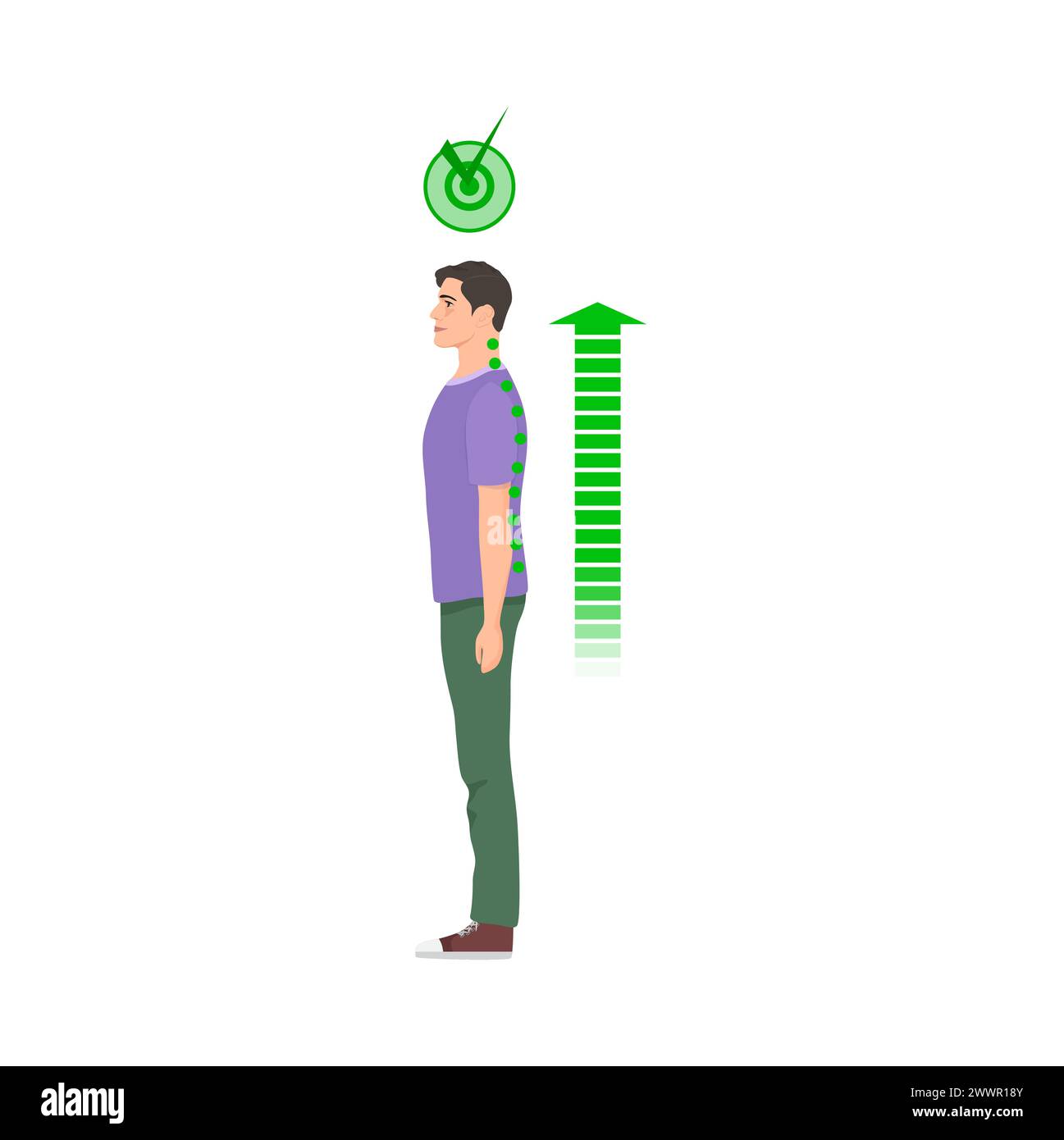 Uomo in posizione eretta con corretta postura della colonna vertebrale. Salute della colonna vertebrale, buona posa corpo illustrazione vettoriale del cartone animato Illustrazione Vettoriale