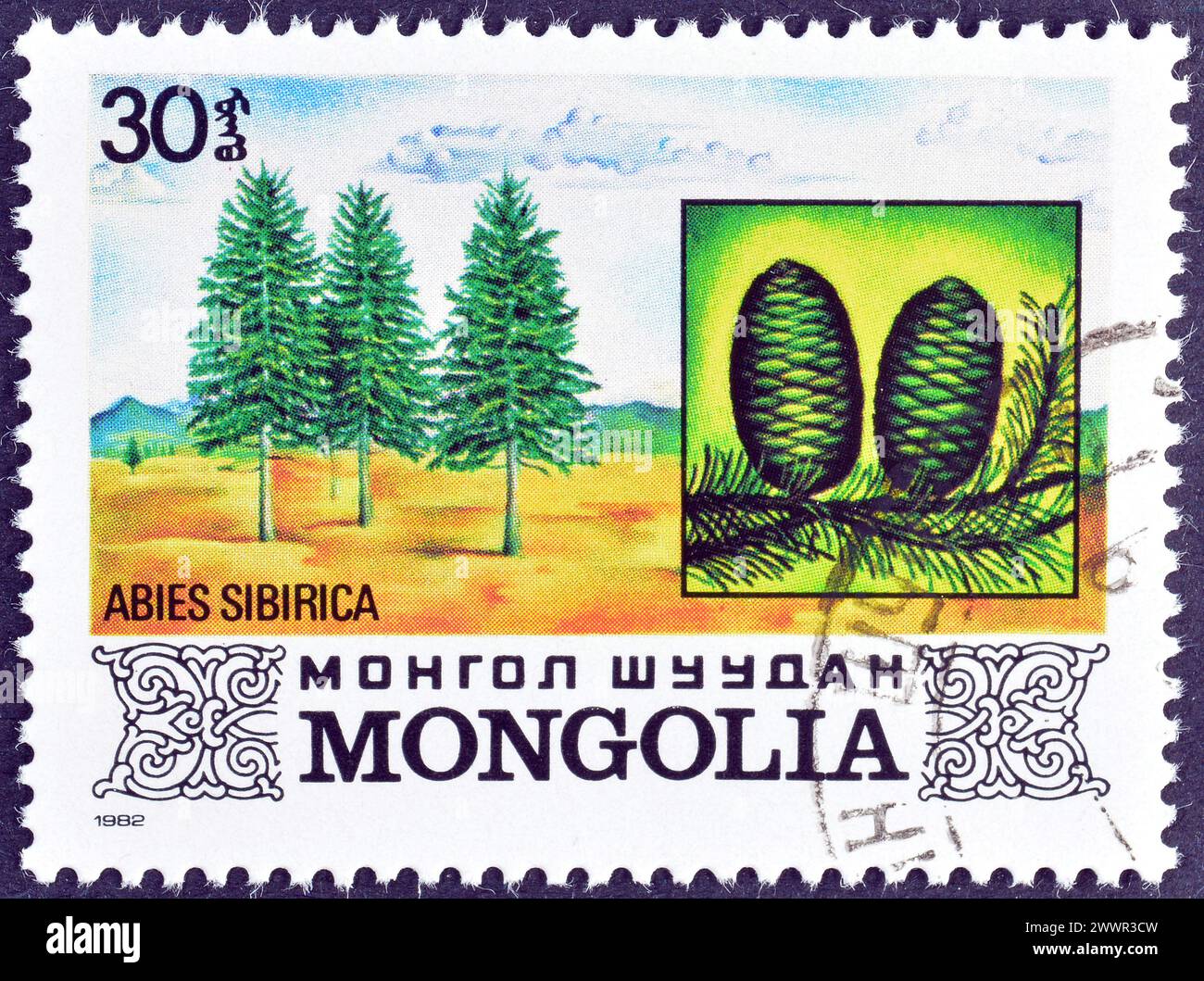 Francobollo cancellato stampato dalla Mongolia, che mostra Abies sibirica, circa 1982. Foto Stock