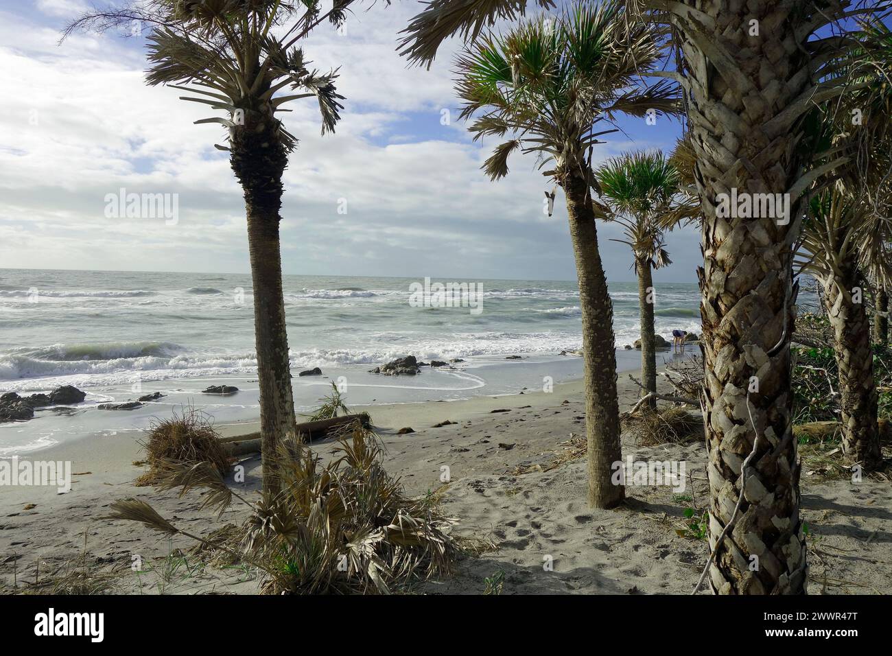 casperson beach, venice, florida, stati uniti Foto Stock
