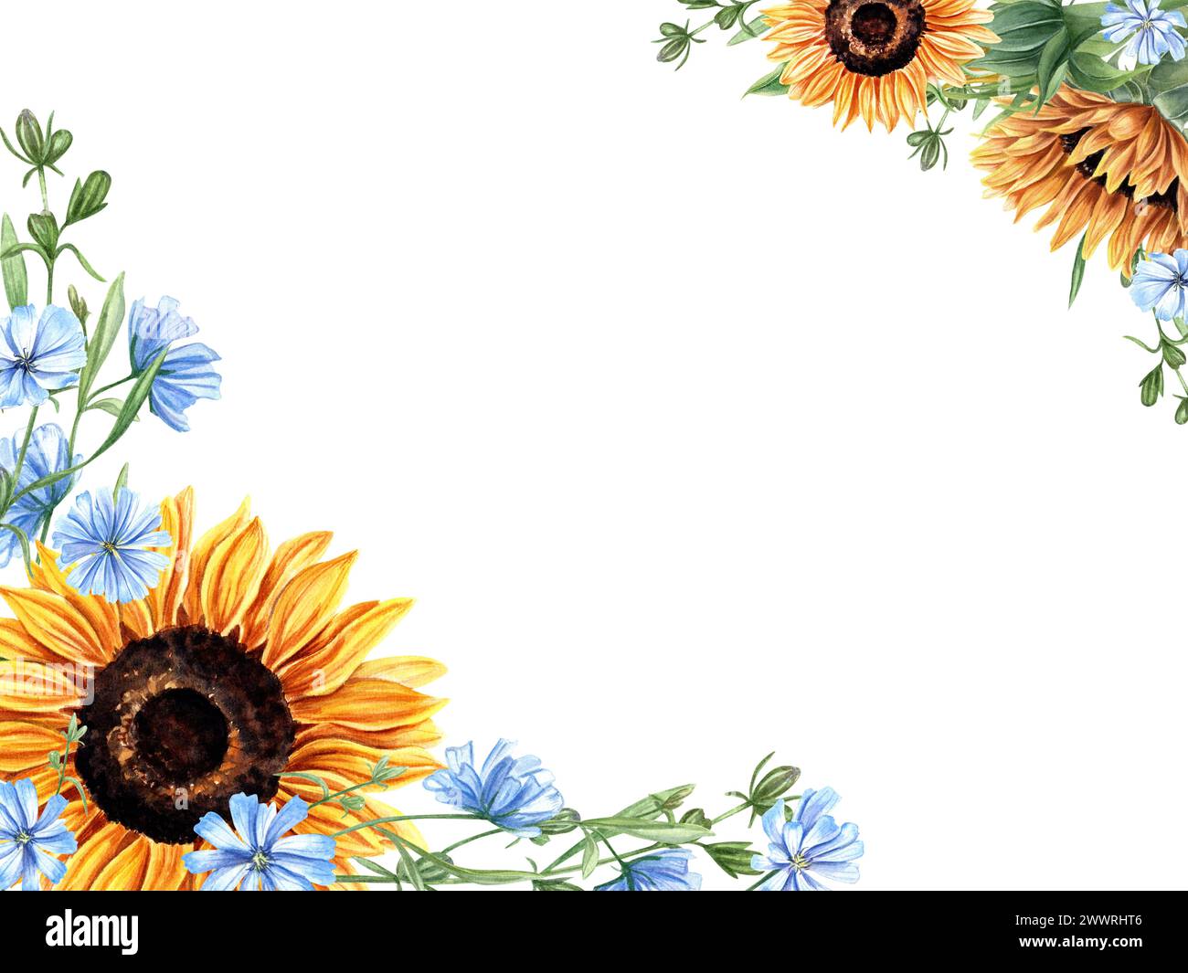 arrietty Artigianato Bella Orchidea Sfondo Ortensia Fiori Sfondo Trasparente Francobolli per la creazione di biglietti Decorazione e DIY Scrapbooking