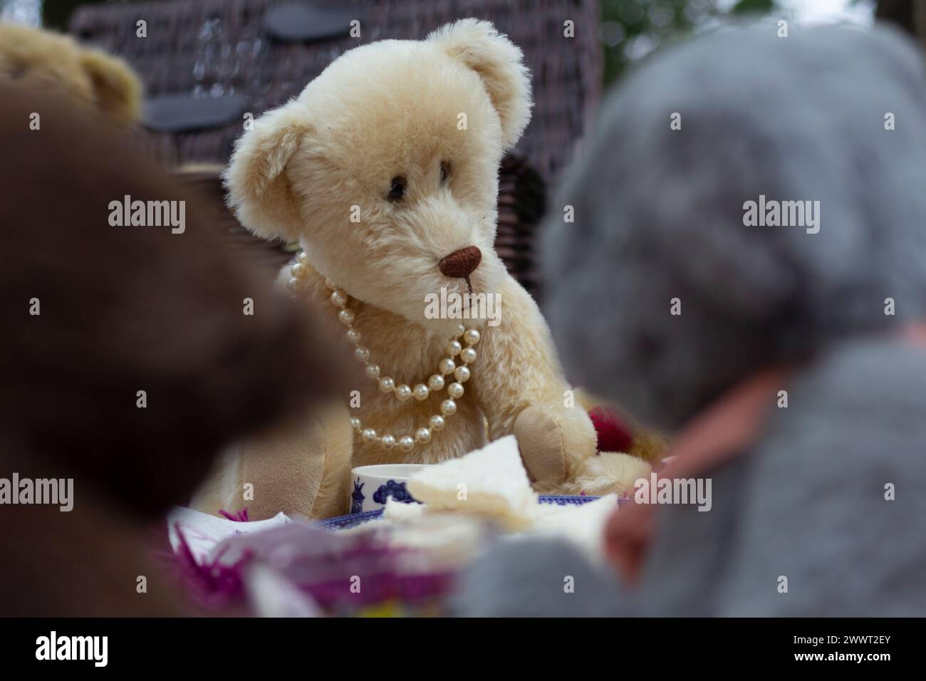 Una vista attraverso altri orsacchiotti per picnic su quella che sembra essere la matriarca degli orsi, con una collana di perle Foto Stock