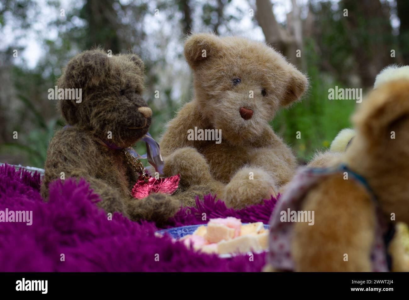 Due orsacchiotti, seduti su un tappeto viola, nel profondo della conversazione in un bosco di fronte ad una torta battenberg Foto Stock
