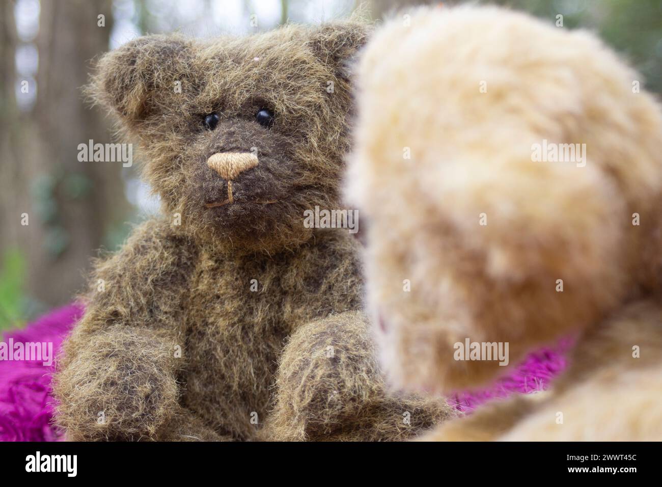 Un orsacchiotto fatto a mano guarda nella telecamera l'oucnic di un orsacchiotto in un ambiente boscoso Foto Stock
