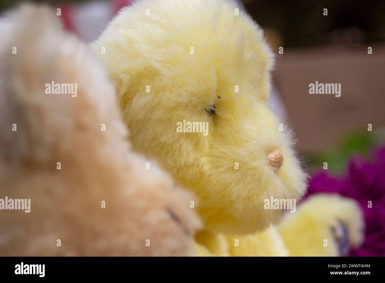 Un dettaglio di un orsacchiotto di pelliccia gialla fatto a mano, seduto a conversare con un altro orsacchiotto a un picnic Foto Stock