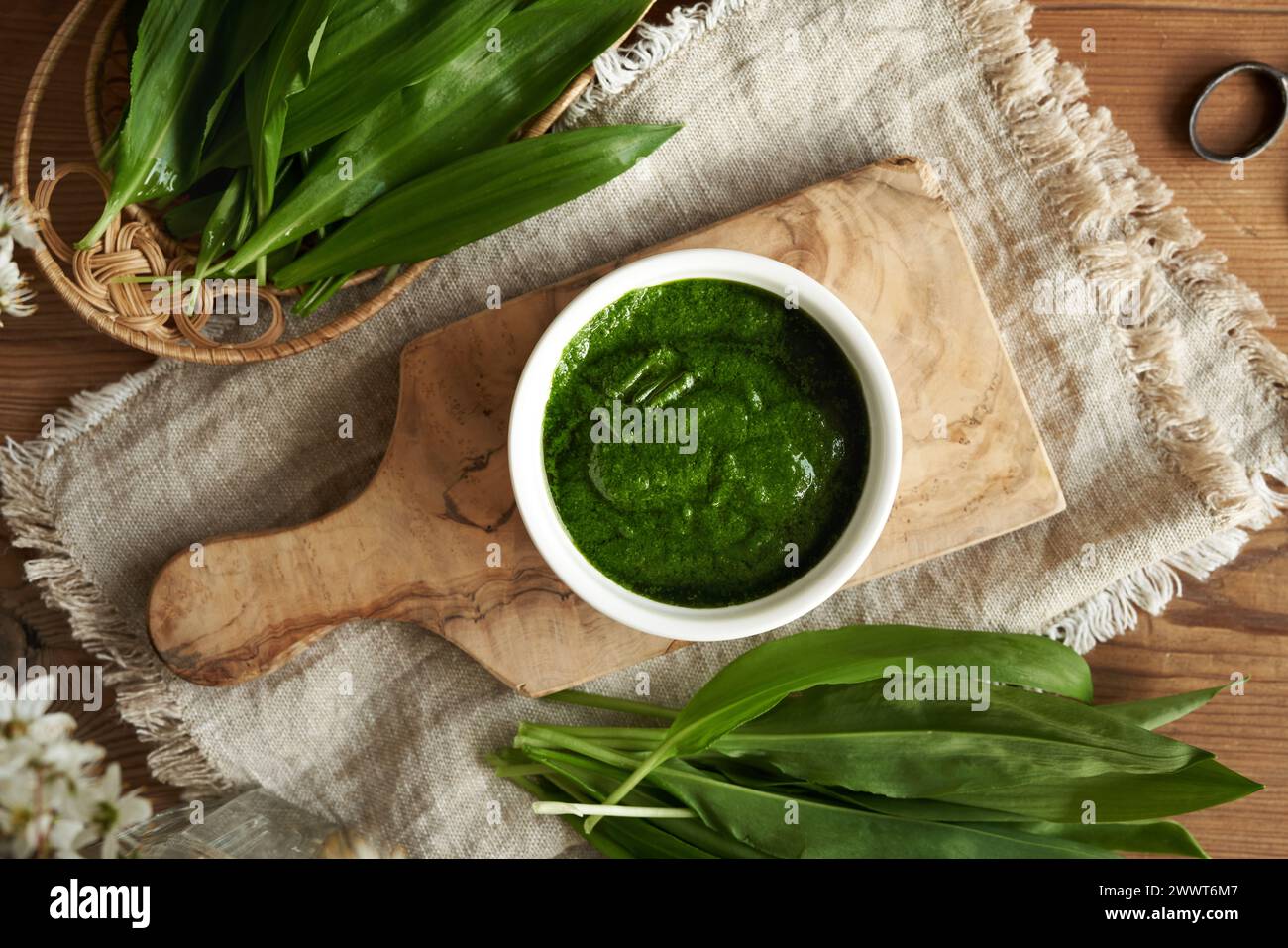 Salsa di pesto verde fatta in casa a base di foglie d'aglio fresche dell'orso - pianta commestibile selvatica raccolta all'inizio della primavera Foto Stock