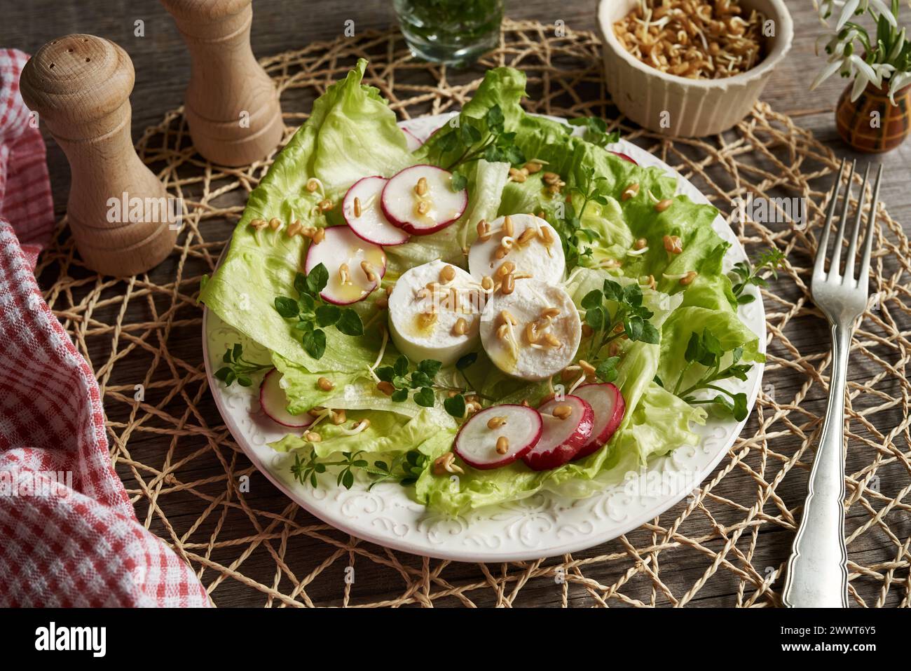 Insalata di verdure con formaggio di capra, germogli di fieno greco e piante commestibili selvatiche raccolte all'inizio della primavera - alghe di pollo e cannuccia Foto Stock