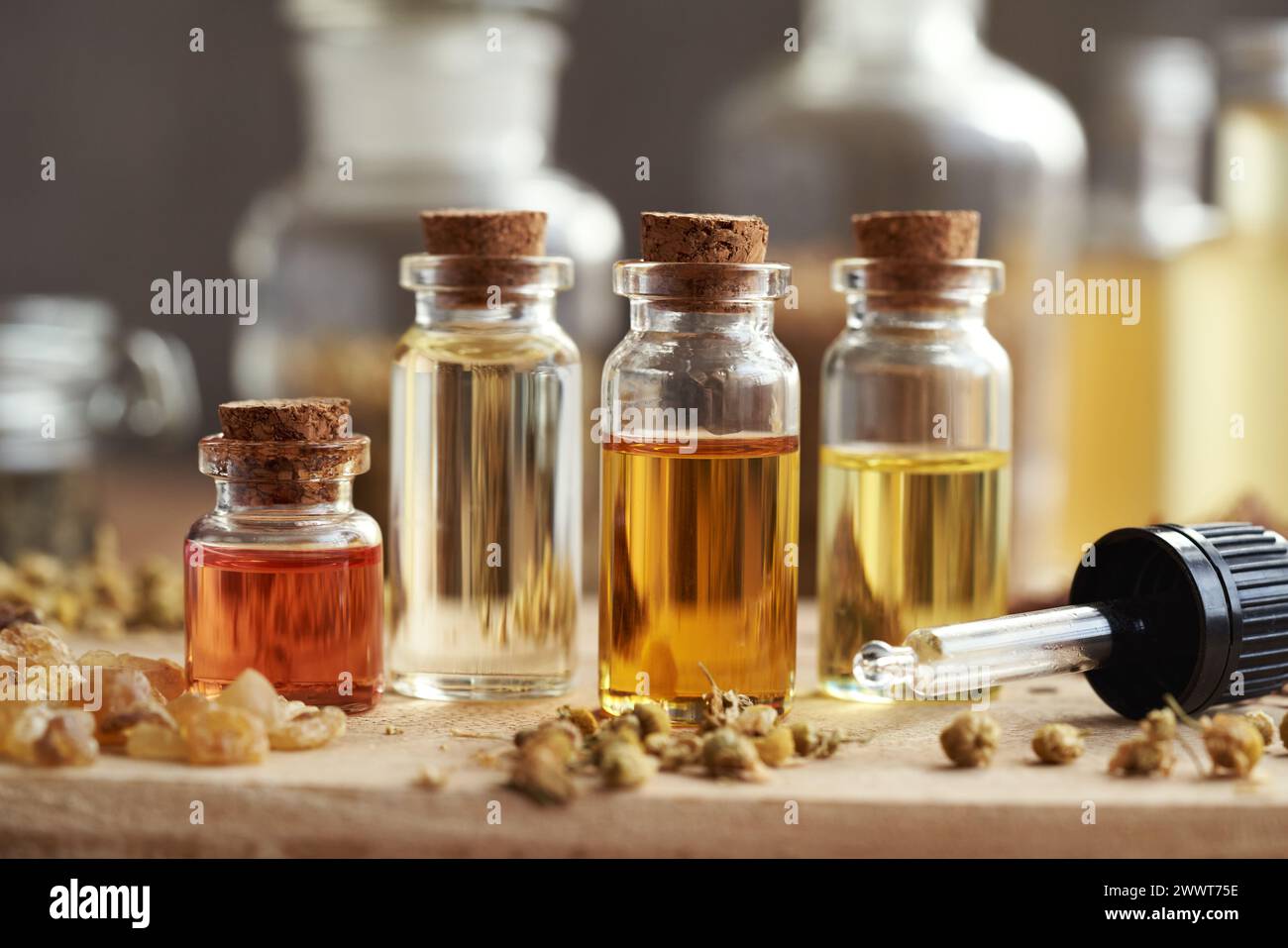 Quattro bottiglie di oli essenziali per aromaterapia con resina di incenso ed erbe e fiori secchi Foto Stock